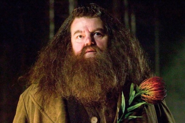 Найди свое «поттерианское» альтер эго согласно знаку зодиака