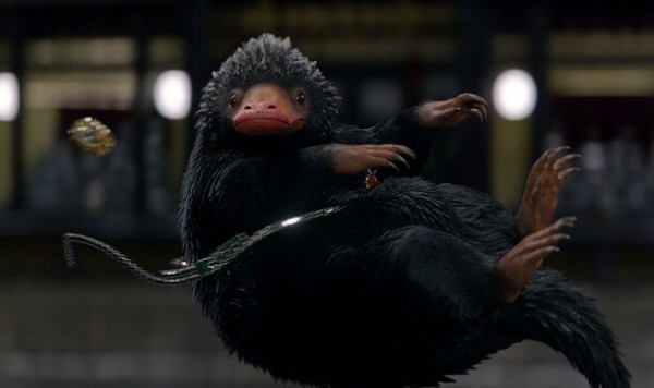 Волшебный провал: 5 причин, почему «Фантастические твари» не повторили успех «Гарри Поттера»