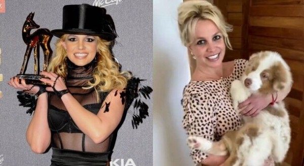 «И снова здравствуйте!»: 10 забытых ранее звезд, которые смогли вернуть себе былую славу «И снова здравствуйте!»: 10 забытых ранее звезд, которые смогли вернуть себе былую славу