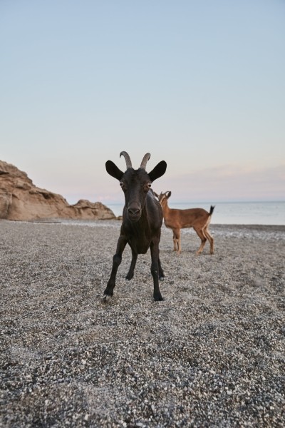 Контент на миллион лайков: 6 лучших инстаспотов Maxx Royal Kemer Resort Контент на миллион лайков: 6 лучших инстаспотов Maxx Royal Kemer Resort