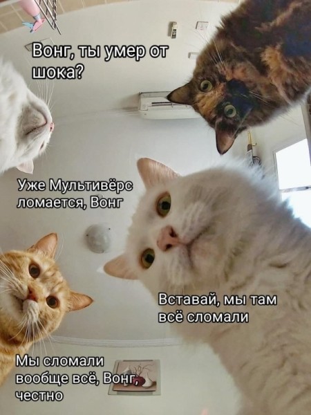 Новый «Человек-паук» стал мемом: Доктора Осьминога сравнивают с Григорием Лепсом, а Питера Паркера с Эльзой из «Холодного сердца» Новый «Человек-паук» стал мемом: Доктора Осьминога сравнивают с Григорием Лепсом, а Питера Паркера с Эльзой из «Холодного сердца»