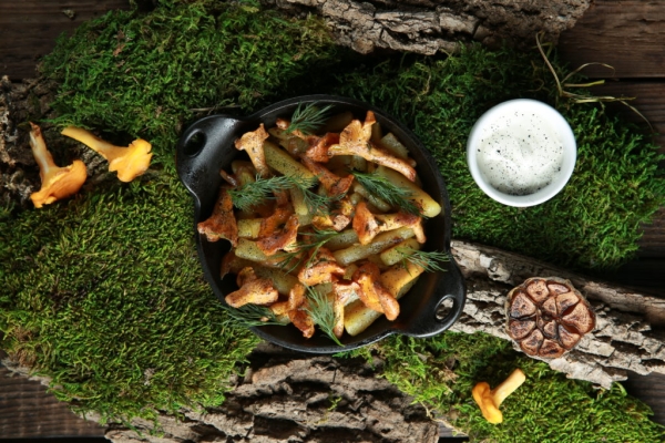 Планы на выходные 14-15 августа: возрождение фестиваля Outline в «Мутаборе», выставка Кати Правды и «Ламбада-маркет» в «Стрелке»