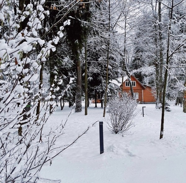 Чем заняться в праздники 1–9 января: бесплатные выставки, кинопоказы и экскурсии