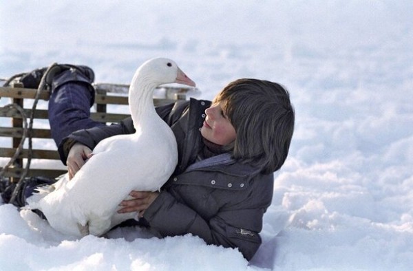  «Реальная любовь» и не только: 10 фильмов, которые смотрят на Новый год в разных странах