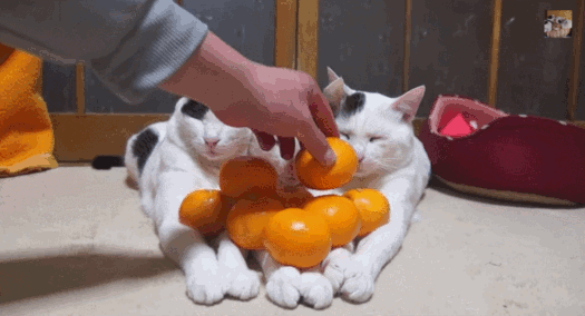 10 способов создать новогоднее настроение 10 способов создать новогоднее настроение