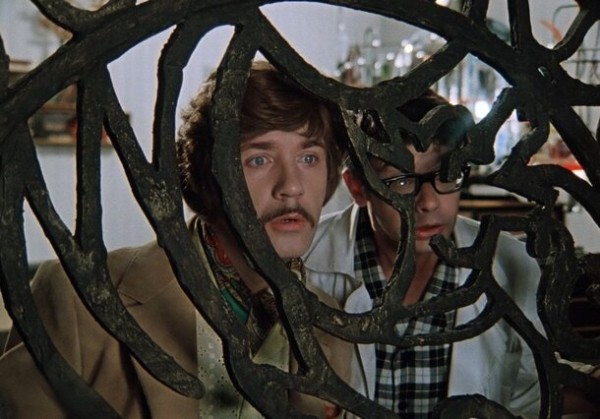 Новогодний эфир ТВ: программа передач на 31 декабря 2022 года Новогодний эфир ТВ: программа передач на 31 декабря 2022 года