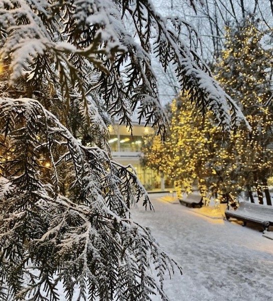 Чем заняться в праздники 1–9 января: бесплатные выставки, кинопоказы и экскурсии