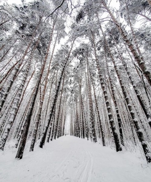 Чем заняться в праздники 1–9 января: бесплатные выставки, кинопоказы и экскурсии