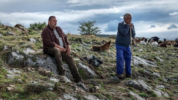 «Хищники»: Рецензия Киноафиши