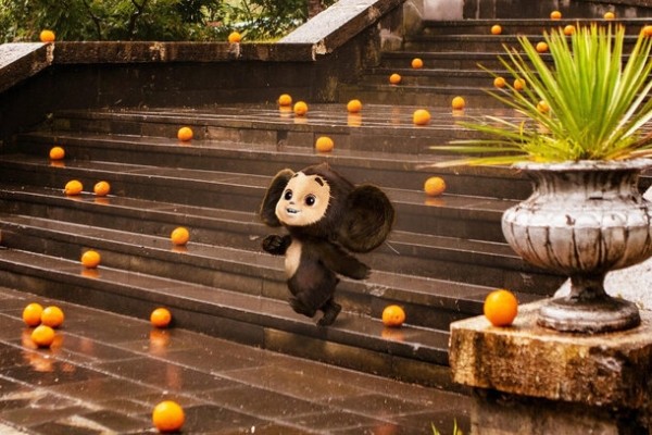 6 тонн апельсинов и строгая цветовая палитра: 10 интересных фактов о «Чебурашке» 6 тонн апельсинов и строгая цветовая палитра: 10 интересных фактов о «Чебурашке»