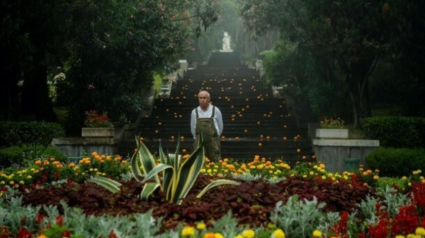 Где снимали фильм «Чебурашка»? Где снимали фильм «Чебурашка»?