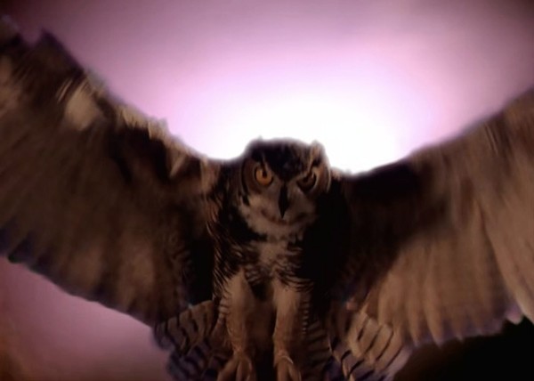 Разбор «Твин Пикс»: 9 тайн мистического городка, о которых ты мог не знать