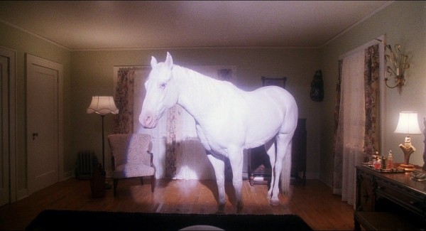 Разбор «Твин Пикс»: 9 тайн мистического городка, о которых ты мог не знать