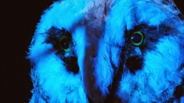 Кровь и черные кружева: история итальянского джалло