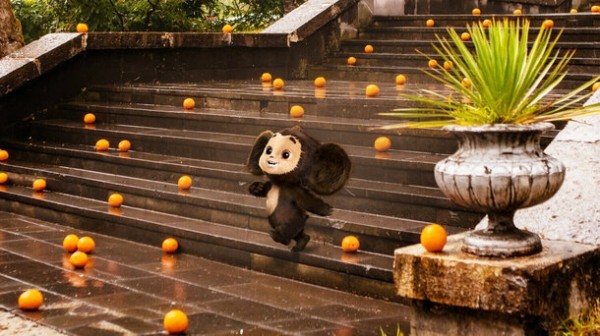 Что смотреть на выходных: «Кокаиновый медведь», финал «Теда Лассо» и Кира Найтли в триллере про маньяка 