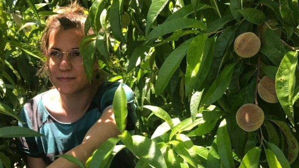 &laquo;Земля Алькаррас&raquo;: Рецензия Киноафиши