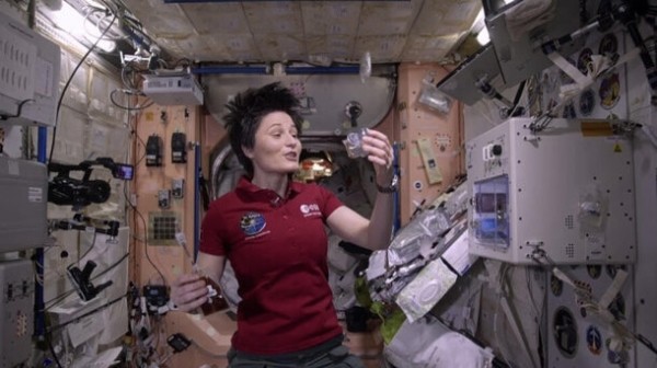 Через тернии к звездам: 5 фильмов, снятых в космосе Через тернии к звездам: 5 фильмов, снятых в космосе