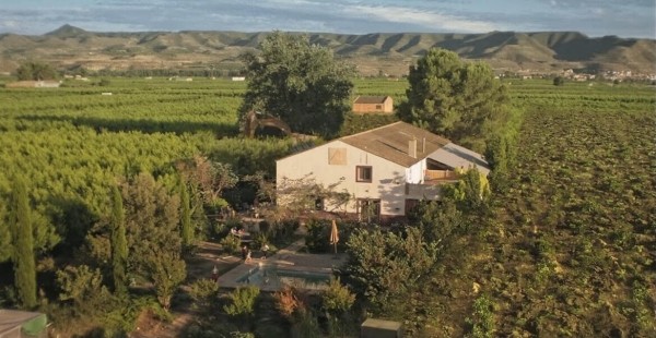 &laquo;Земля Алькаррас&raquo;: Рецензия Киноафиши