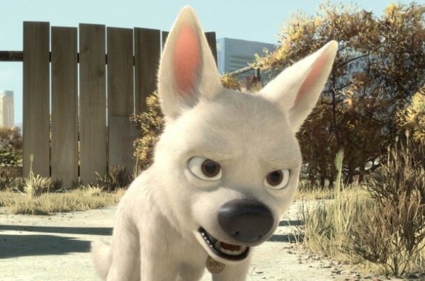 Киногороскоп: какое ты животное из популярных мультфильмов по знаку зодиака?