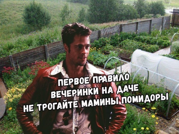 Мир, труд, шашлыки: топ мемов про майские