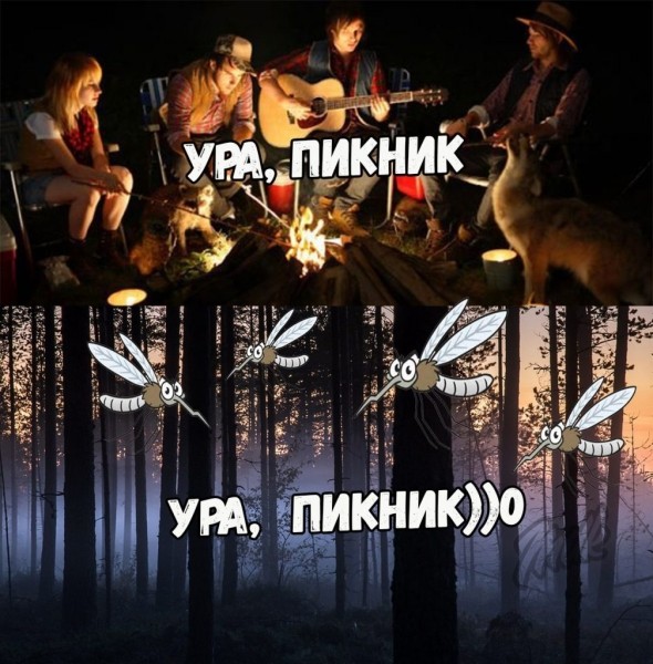 Мир, труд, шашлыки: топ мемов про майские