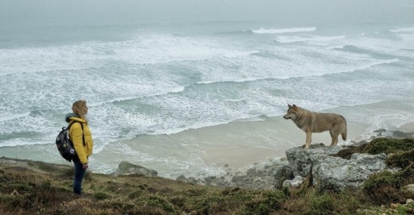 «Комната чудес»: Рецензия Киноафиши