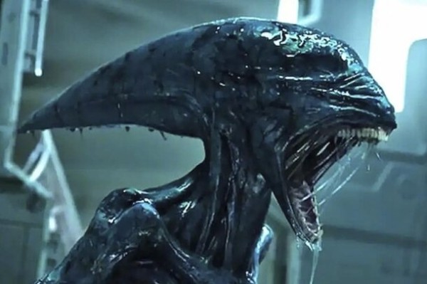 Не только Индиана Джонс: 7 легендарных героев, которые возвращаются на экраны