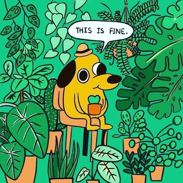 Экскурсия в ад: что такое обряд аяваски и почему его пробуют звезды Экскурсия в ад: что такое обряд аяваски и почему его пробуют звезды