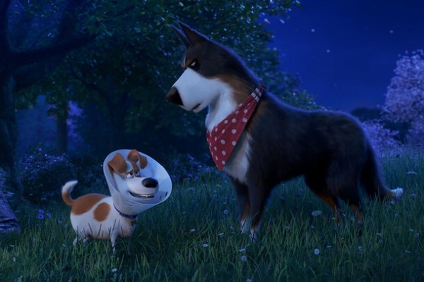 Все мультфильмы студии Illumination: от худшего к лучшему