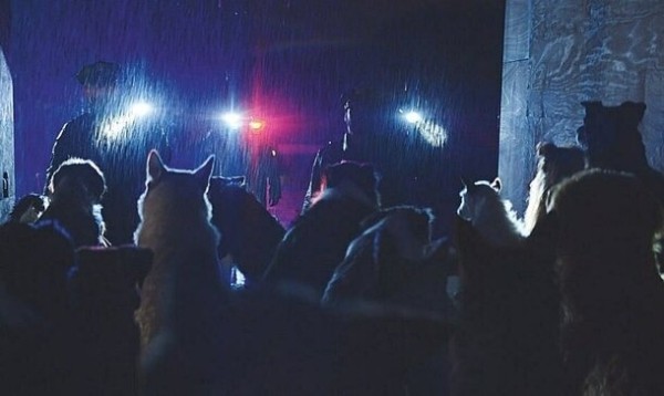 Сентябрьский киногид: 10 главных премьер в российском прокате