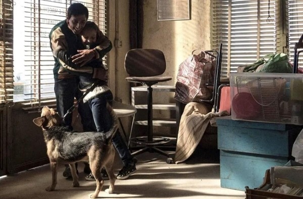 «Догмен»: Рецензия Киноафиши «Догмен»: Рецензия Киноафиши