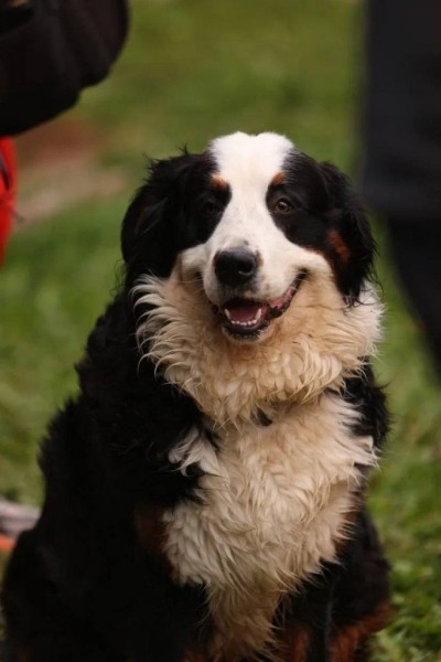 Появились первые фото со съемок продолжения сериала &laquo;Счастливы вместе&raquo;