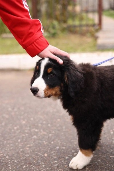 Появились первые фото со съемок продолжения сериала &laquo;Счастливы вместе&raquo;