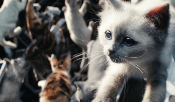 «Капитан Марвел 2»: Рецензия Киноафиши «Капитан Марвел 2»: Рецензия Киноафиши