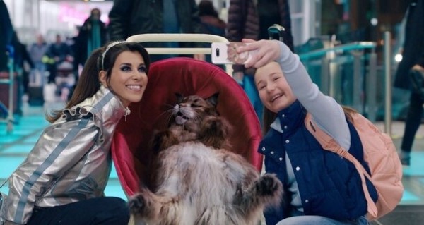 Захватывающее приключение для всей семьи: вышел трейлер фильма «Кот и пес»