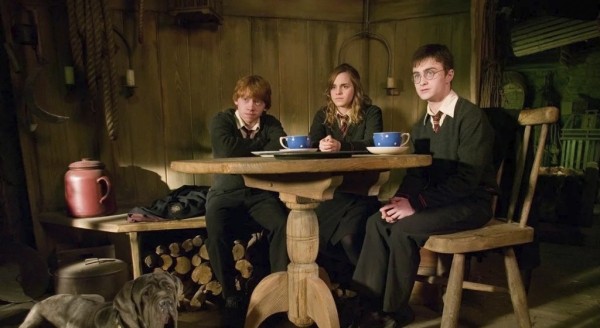 От сливочного пива до тыквенных пирожков: 5 блюд из «Гарри Поттера», которые можно приготовить на Новый год