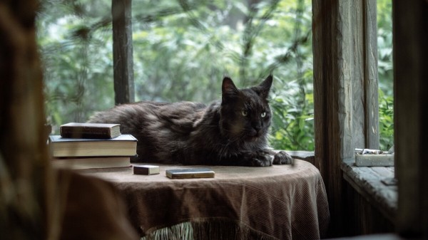 «Мастер и Маргарита»: Рецензия Киноафиши