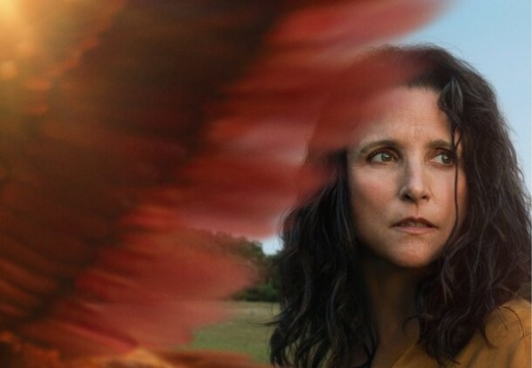 Джулия Луи-Дрейфус переживает утрату благодаря говорящей птице в трейлере фильма «Тьюздей» Джулия Луи-Дрейфус переживает утрату благодаря говорящей птице в трейлере фильма «Тьюздей»