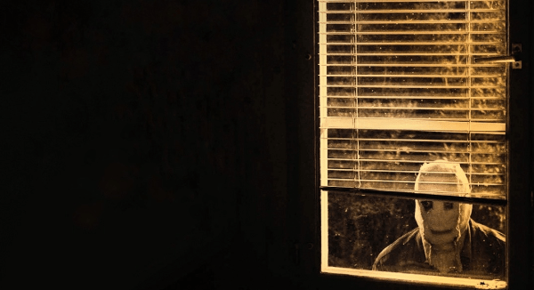 24 хоррора, которые выйдут до конца 2024 года