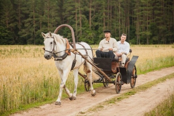 Три причины посмотреть сериал «Отчим»