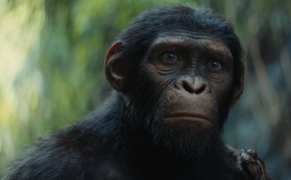 «Планета обезьян: Новое царство»: Рецензия Киноафиши «Планета обезьян: Новое царство»: Рецензия Киноафиши