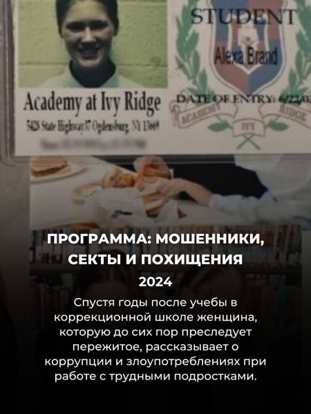 Про эти 7 сериалов Нетфликс мало кто слышал (но у каждого из них редчайший 100% рейтинг)