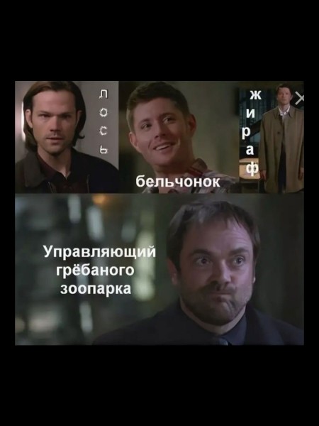 15 лучших мемов по Сверхъестественному (половину смогут понять только хардкорные фанаты)