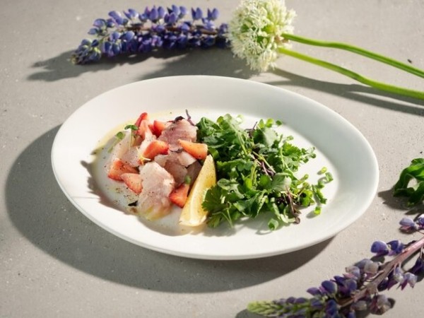 ТВ-3 и ресторан «Магадан» предлагают экзотические блюда из шоу «Последний герой. Русский сезон» ТВ-3 и ресторан «Магадан» предлагают экзотические блюда из шоу «Последний герой. Русский сезон»