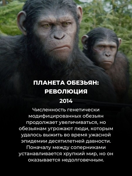 Названы 15 лучших сиквелов за последние 20 лет: Темный рыцарь Нолана только на 2 месте