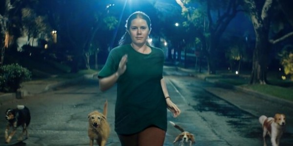 Эми Адамс раскрывают свою собачью сущность в трейлере черной комедии «Ночная сучка» Эми Адамс раскрывают свою собачью сущность в трейлере черной комедии «Ночная сучка»