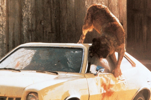 Когда страхи реальны: 6 фильмов ужасов, основанных на фобиях Когда страхи реальны: 6 фильмов ужасов, основанных на фобиях