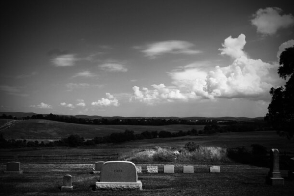 Когда страхи реальны: 6 фильмов ужасов, основанных на фобиях Когда страхи реальны: 6 фильмов ужасов, основанных на фобиях